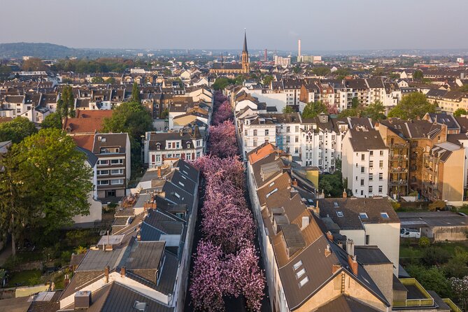 2 Best City Tours In Bonn