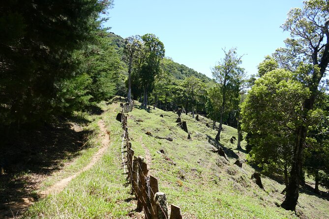 Boquete Private 360° View Tour