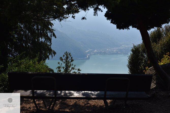 Botanical Photo Tour in Parco San Grato Lugano With Contest