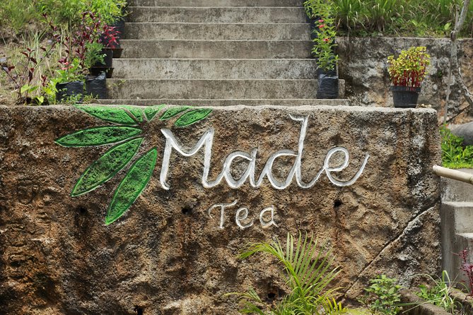 Botanical Tea Work Shop and Garden Tour