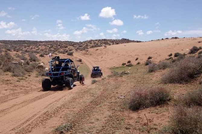 Buggy Adventure: 2 Hours Buggy Adventure in Agadir - Tour Highlights