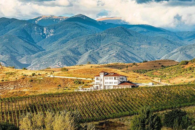 Bulgarian Wine, Nature & Culture in 8 Days - Wine Tasting Experience