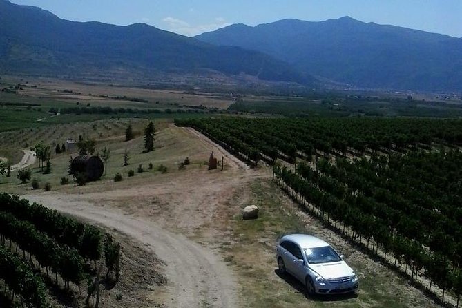 Bulgarian Wines in 4 Days: the Gift of Dionysus
