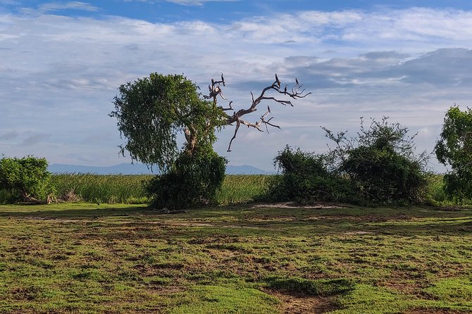 Bundala National Park Private Safari - Tour Details