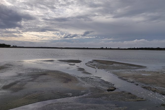 Bundala National Park Private Safari With Naturalist - Inclusions and Exclusions