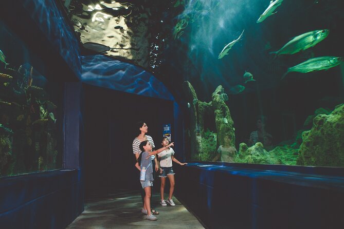 Burj Khalifa at the Top With Dubai Aquarium Combo Ticket - Overview of the Combo Ticket