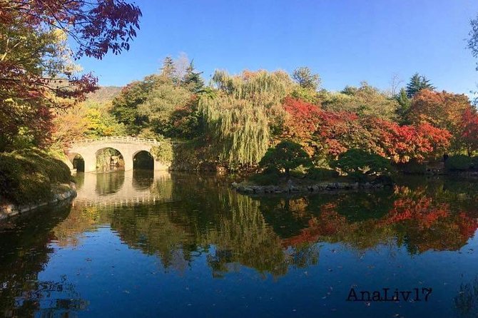 Busan Premium Full-Day Tour