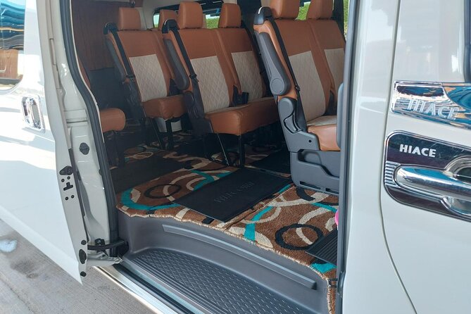 Cairo Airport Transfer to Hotel - Accessibility and Amenities