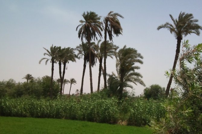 Cairo City Break in Tour 3 Days - 2 Nights at 5* Hotels or Similar Hotel 5*) - Booking and Cancellation Policies