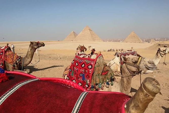 Cairo Layover Tours to the Pyramids and the Museum From Cairo Airport