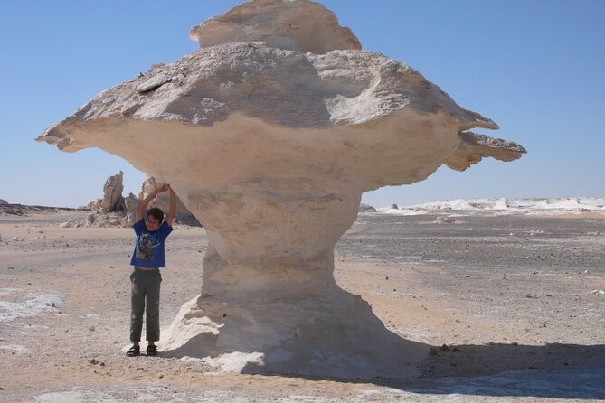 Cairo : Marvel the Camping in the White & Black Deserts & Cairo Private Transfer - Inclusions