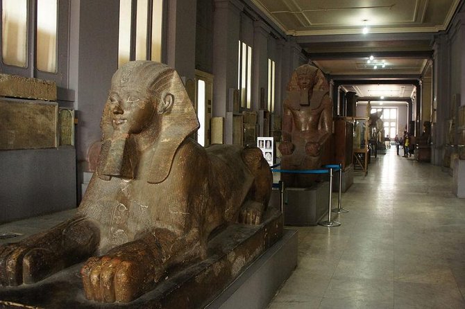 Cairo Stopover Tour From Cairo Airport to Giza Pyramids and the Egyptian Museum - Meeting and Pickup