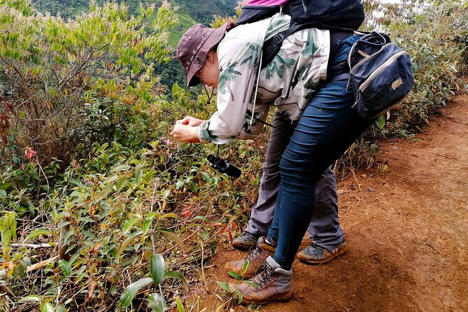 Cali: Bird Watching | Birding In The Jungle Of Cali