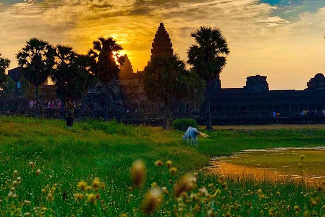 Cambodia 7-Days Classic Tour