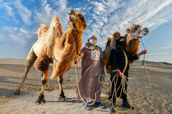 Camel Ride Desert Experience