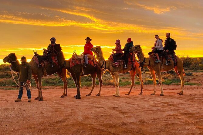 Camel Ride in Agadir & Options at Sunset & Barbecue With Couscous - Activity Highlights