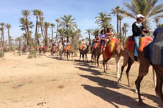 Camel Ride in Marrakech
