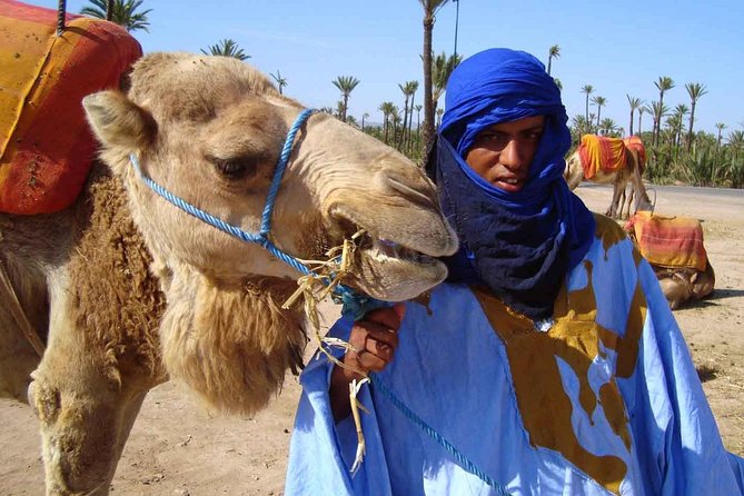 Camel Ride in the Palm Grove of Marrakech - Tour Overview