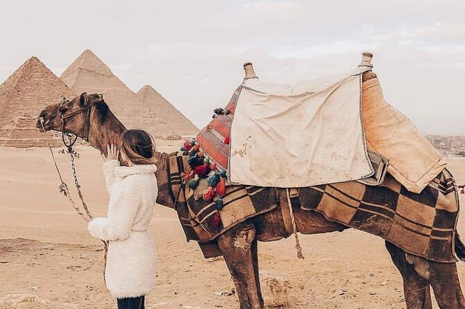 Camel Ride or Horse Around the Pyramids - Tour Overview