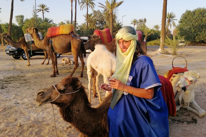 Camel Riding in the Marrakech Desert - Destination Overview