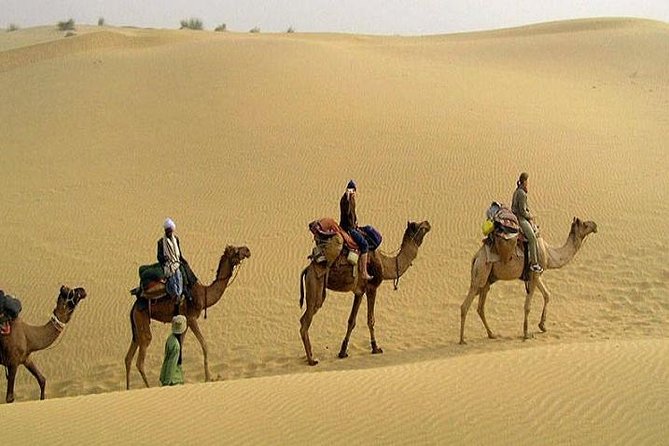 Camel Safari at Osian With Exclusive Dinner From Jodhpur - Tour Inclusions and Details