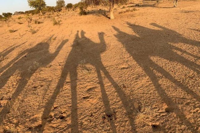 Camel Safari Day Trip From Jodhpur - Pickup Locations