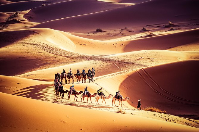 Camel Trekking
