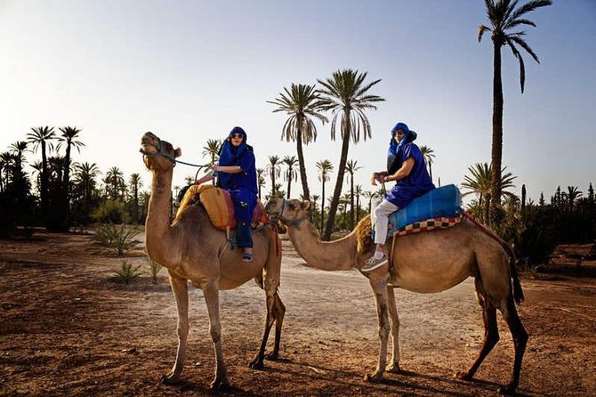 Camel Walk in Hidden Palmeraie
