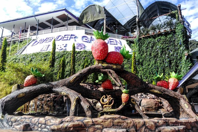 Cameron Highlands Day Trip From Kuala Lumpur - Itinerary Highlights