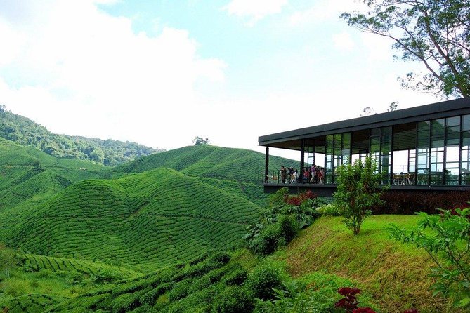 Cameron Highlands Full-Day Nature Tour - Customer Reviews