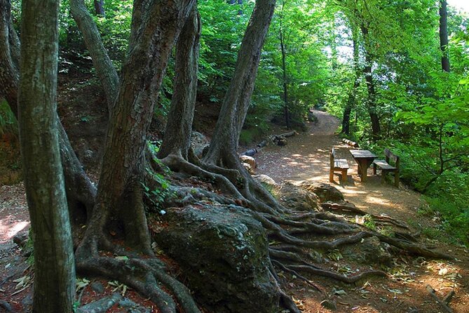 Camogli: PRIVATE Ligurian Wine Tasting Experience and Walking on National Park - Background Information