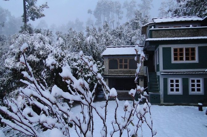 Camping in Binsar, Uttarakhand