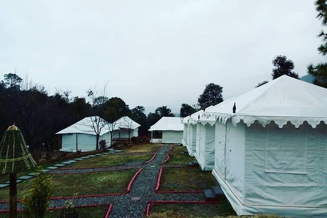 Camping in Bir Biling With Swiss Tent Stay - Inclusions