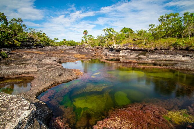 Caño Cristales Private 3-Day Trekking Tour From Bogota - Overview of the Tour