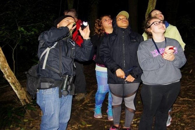 Canopy Tour Plus Night Walk - Overview of the Tour