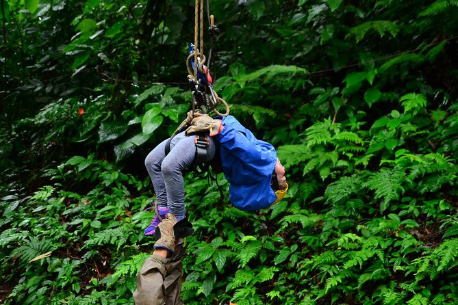 Canopy Tour + Tarzan Swing + Night Walk - Overview of the Experience
