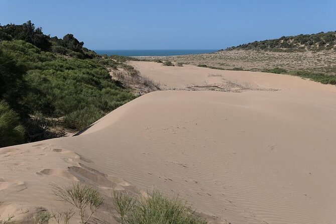 Cap Sim & Sidi Kaouki Hike