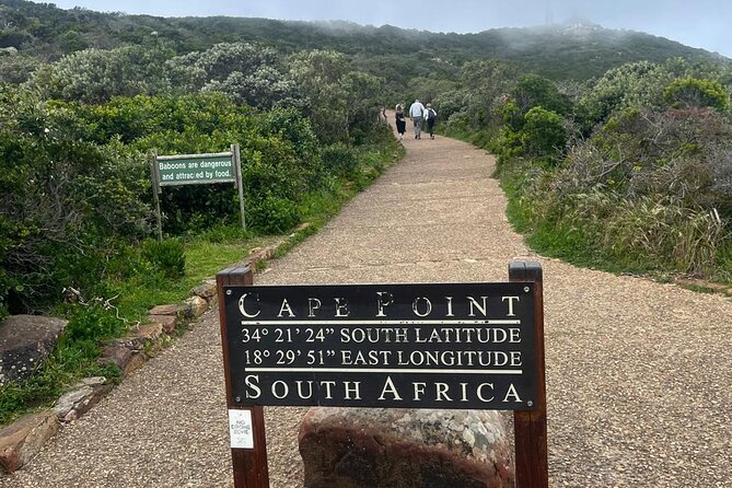 Cape of Good Hope and Boulder’s Beach Penguins Private Day Tours