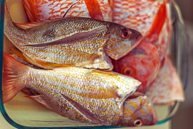 Caribbean Cuisine Cooking Class - Culinary Delights