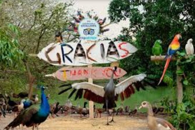 Cartagena Aviary Tour