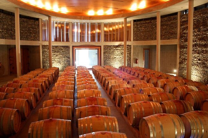 Casablanca Valley Wine Tour From Santiago - Overview of Casablanca Valley Tour