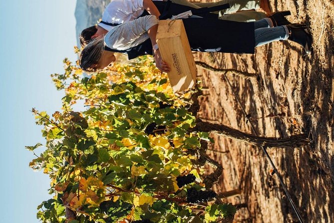Casas Del Bosque Vineyard Tour - Transportation Details