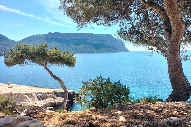 Cassis Village, Calanques Boat Ride, Wine Tasting (+Marseille) - Directions to Meeting Point