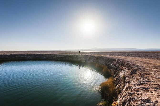 Cejar Lagoon and Ojos Del Salar With Tebinquiche Tour