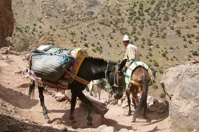 Challenging Day Trek From Marrakech To Atlas Mountains and Berber Villages - Pricing and Reservation Details