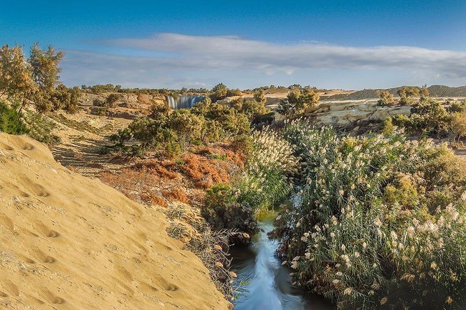Cheap Trip : Day Trip to Fayoum From Cairo