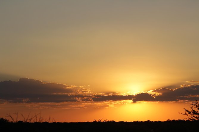Cheetah Safari Discounted Package
