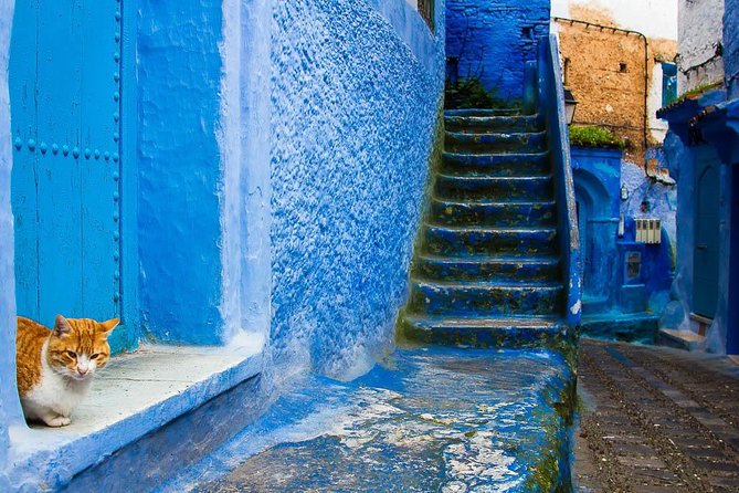 Chefchaouen Full Day Trip From Fez