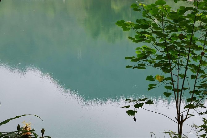 Chengdu Cultural Heritage & Panda Tour (3 Day ) - Attractions Included