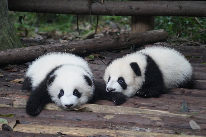 Chengdu Getaway: Private 2-Day Tour From Beijing - Tour Overview